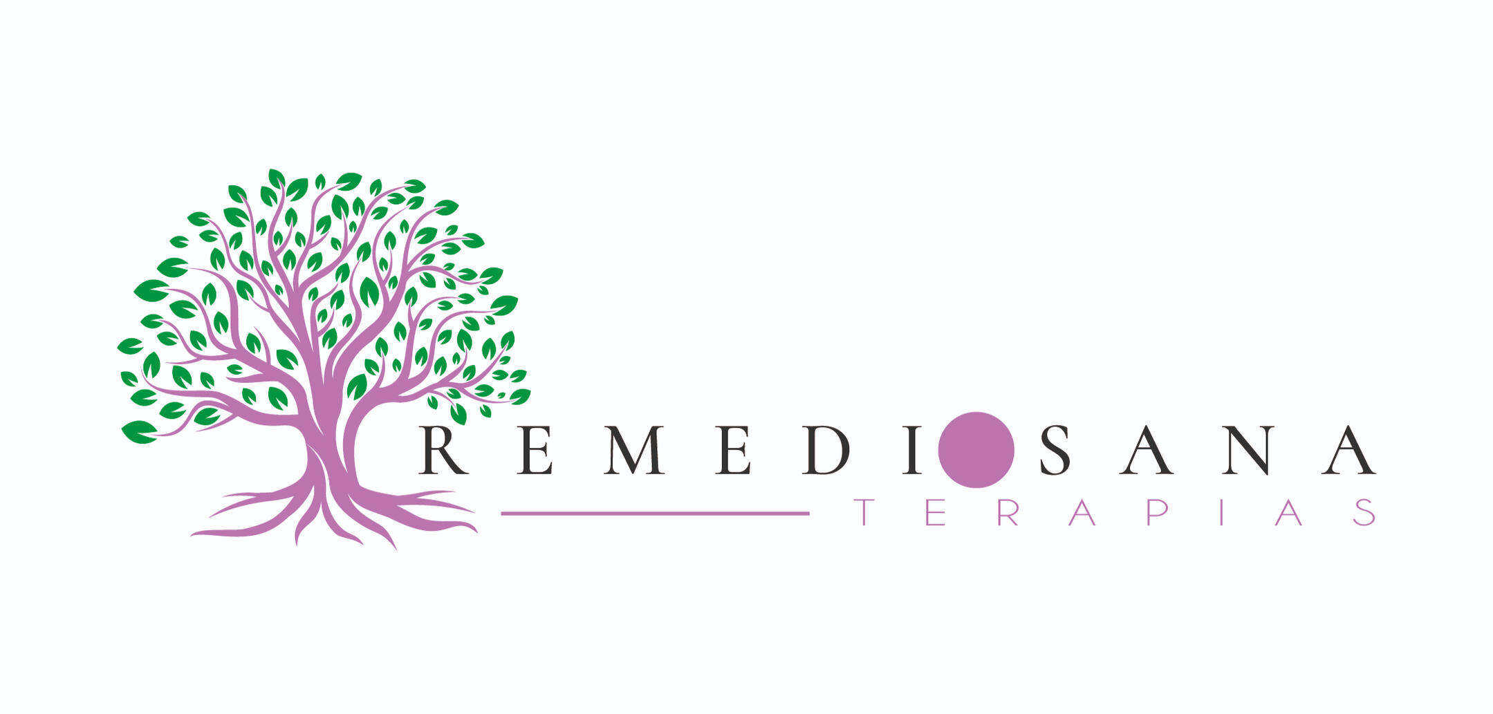 Remedios Rebollo